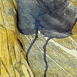 Digital printed chiffon Saree in yellow